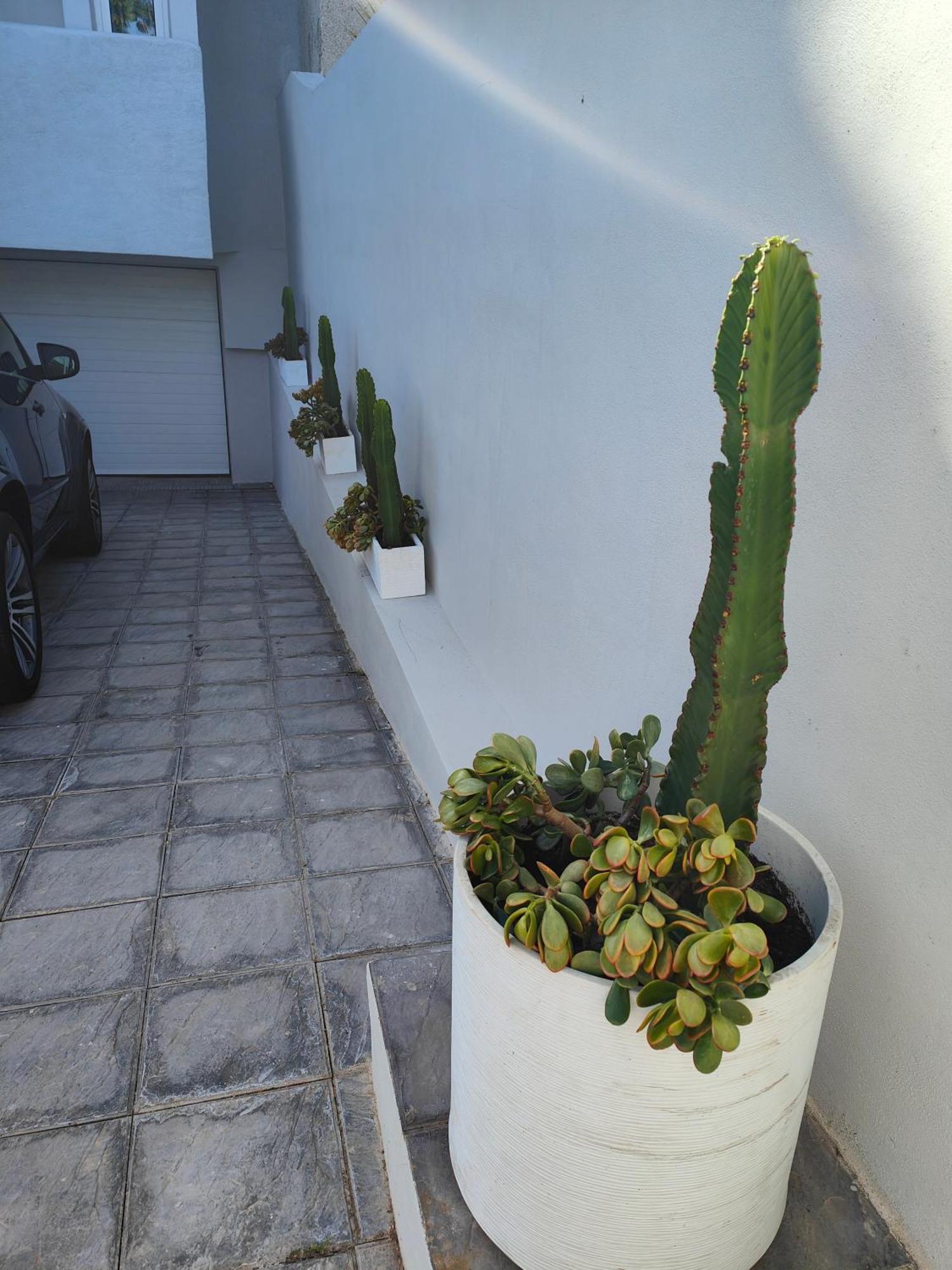 Casa 5 Habitaciones Con Solarium Santa Cruz de Tenerife Exteriör bild